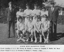 Junior boys badminton team