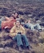 On the hills